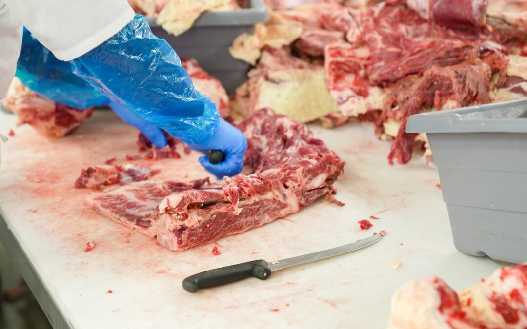 Les bonnes pratiques d&rsquo;hygiène & HACCP en boucherie charcuterie